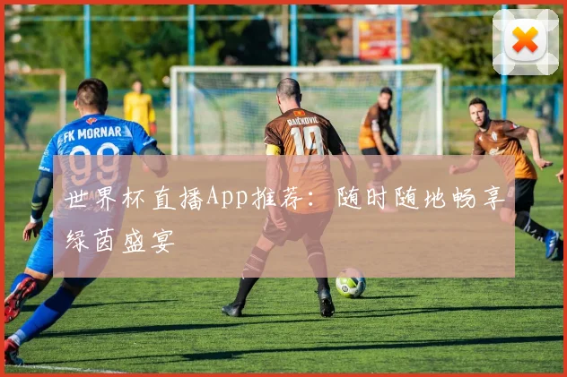 世界杯直播App推荐:随时随地畅享绿茵盛宴