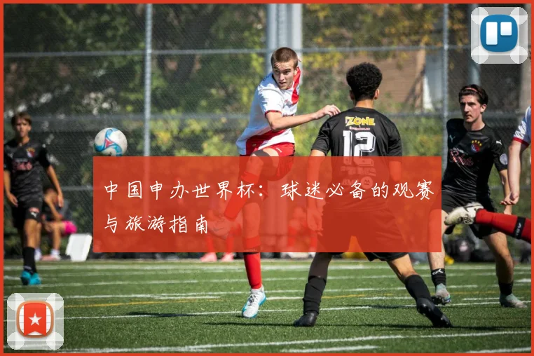 中国申办世界杯：球迷必备的观赛与旅游指南