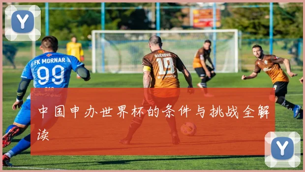 中国申办世界杯的条件与挑战全解读