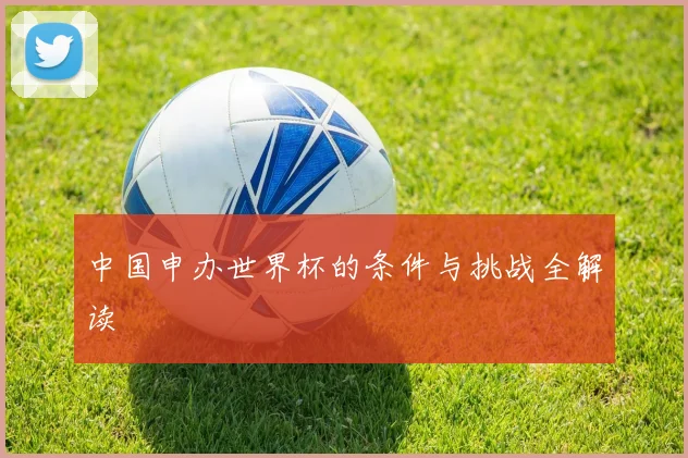 中国申办世界杯的条件与挑战全解读