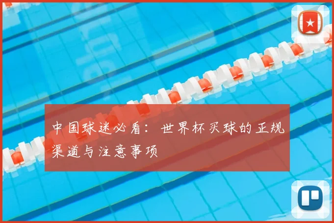 中国球迷必看：世界杯买球的正规渠道与注意事项