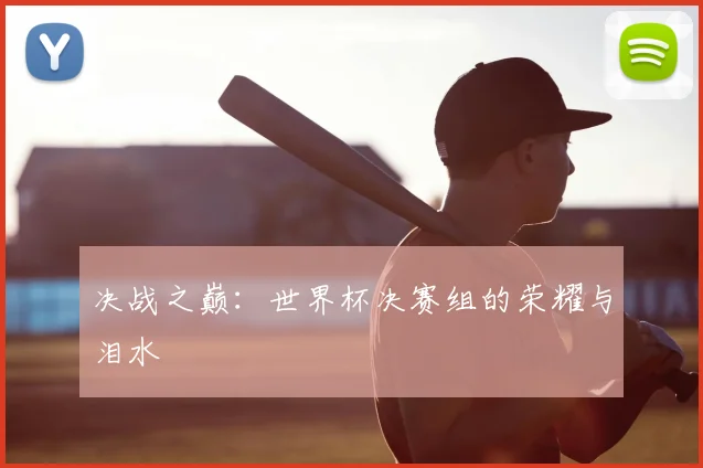 决战之巅：世界杯决赛组的荣耀与泪水