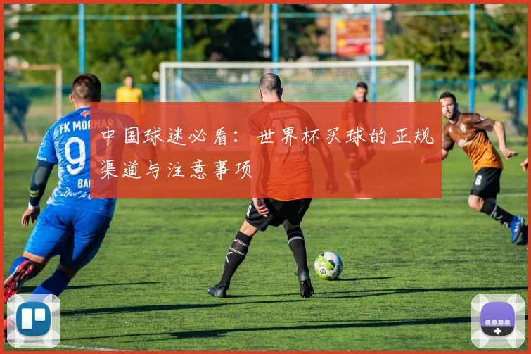 中国球迷必看：世界杯买球的正规渠道与注意事项