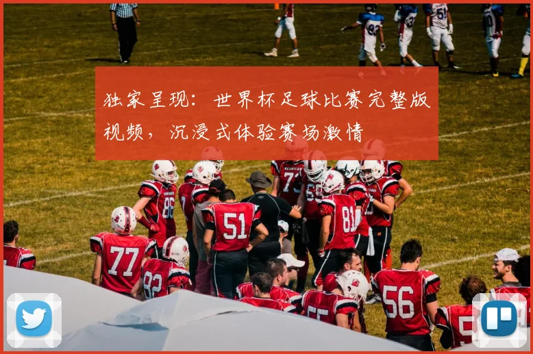 独家呈现：世界杯足球比赛完整版视频，沉浸式体验赛场激情