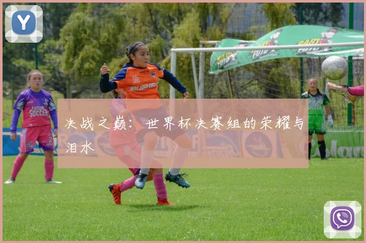 决战之巅：世界杯决赛组的荣耀与泪水