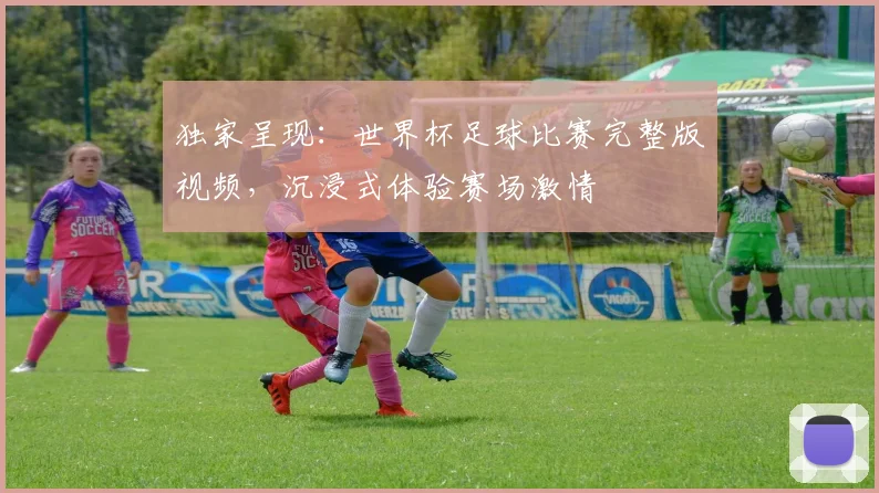 独家呈现：世界杯足球比赛完整版视频，沉浸式体验赛场激情