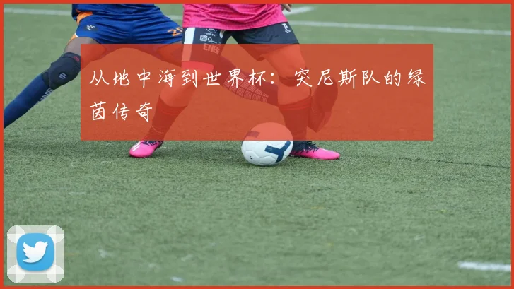 从地中海到世界杯：突尼斯队的绿茵传奇